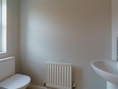 Picture 25